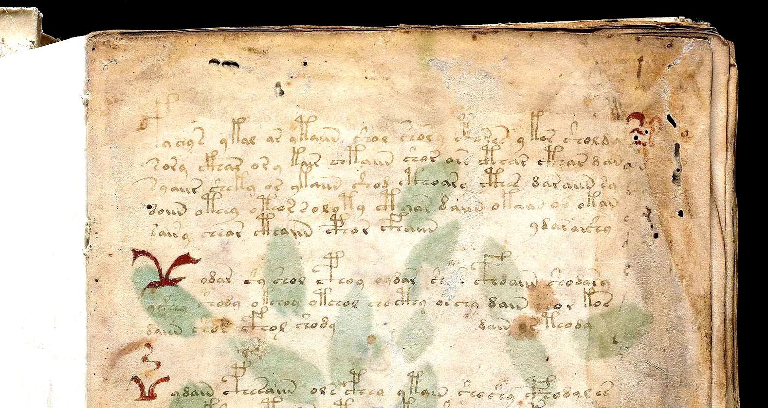 f1r (f1r_opening.png)