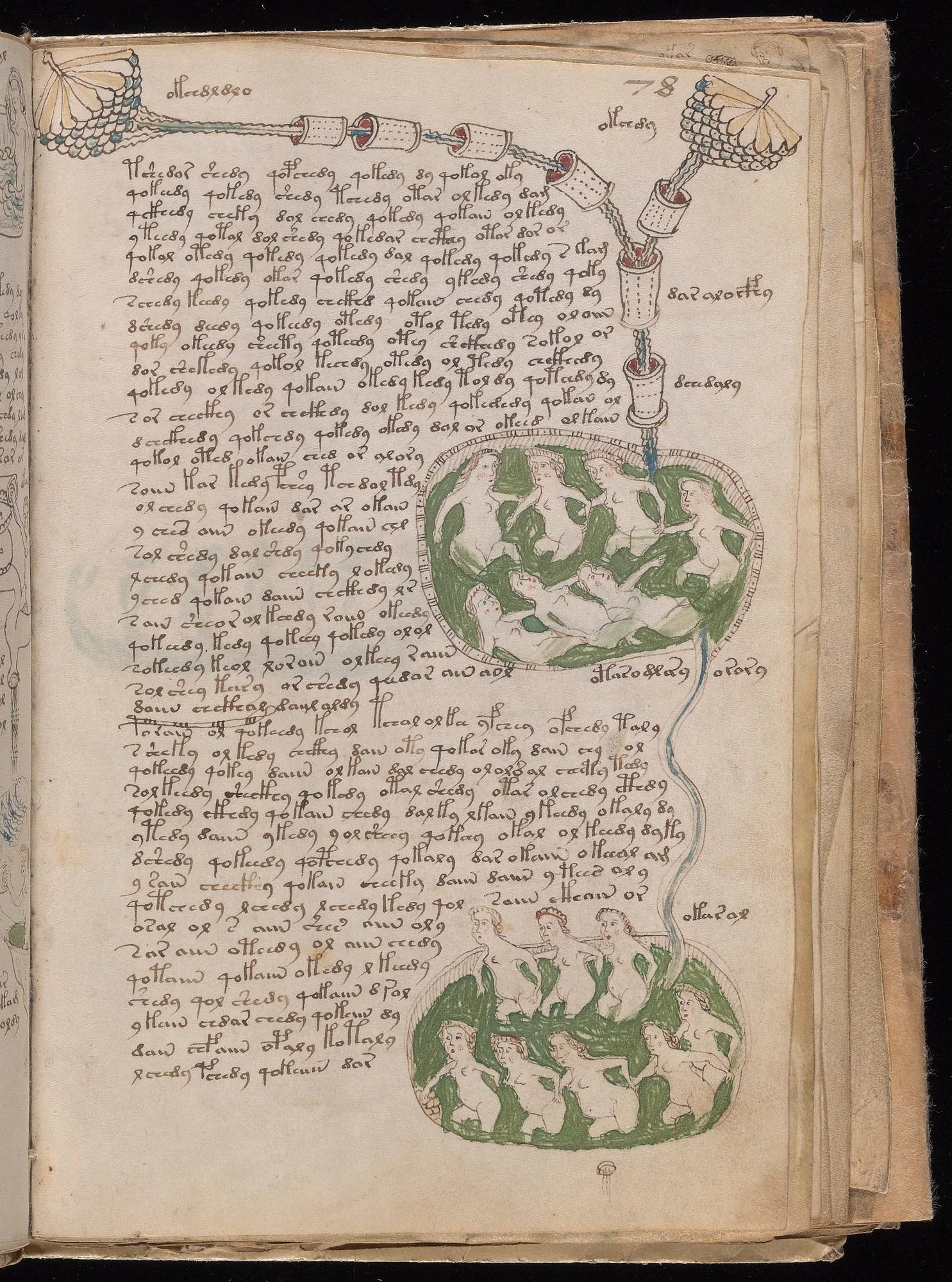 Folio f78r showing painted water pipes, object labels, and EVA paragraph lines